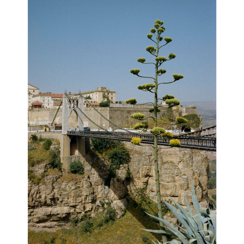 Kinfolk Journeys