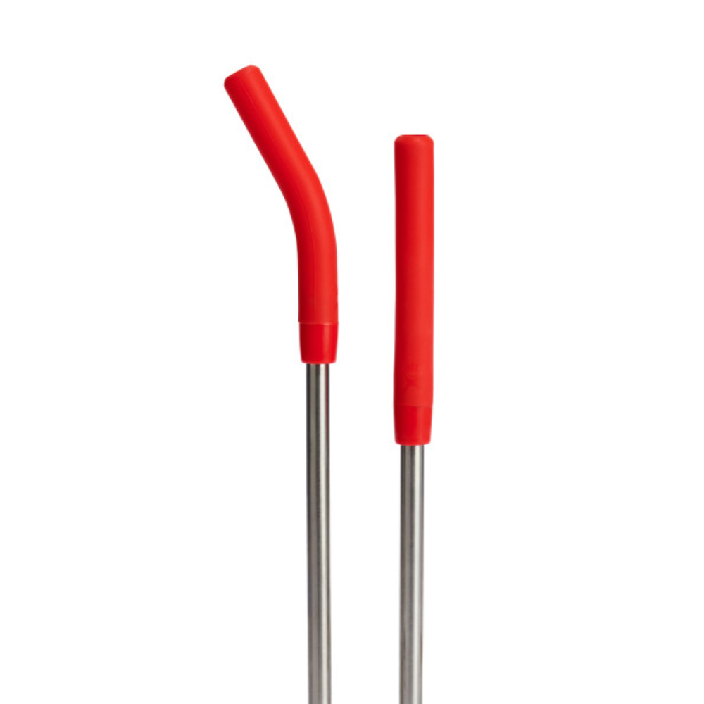 Hydro Flask Stainless Steel Straw Set Goji