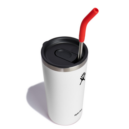 Hydro Flask Stainless Steel Straw Set Goji