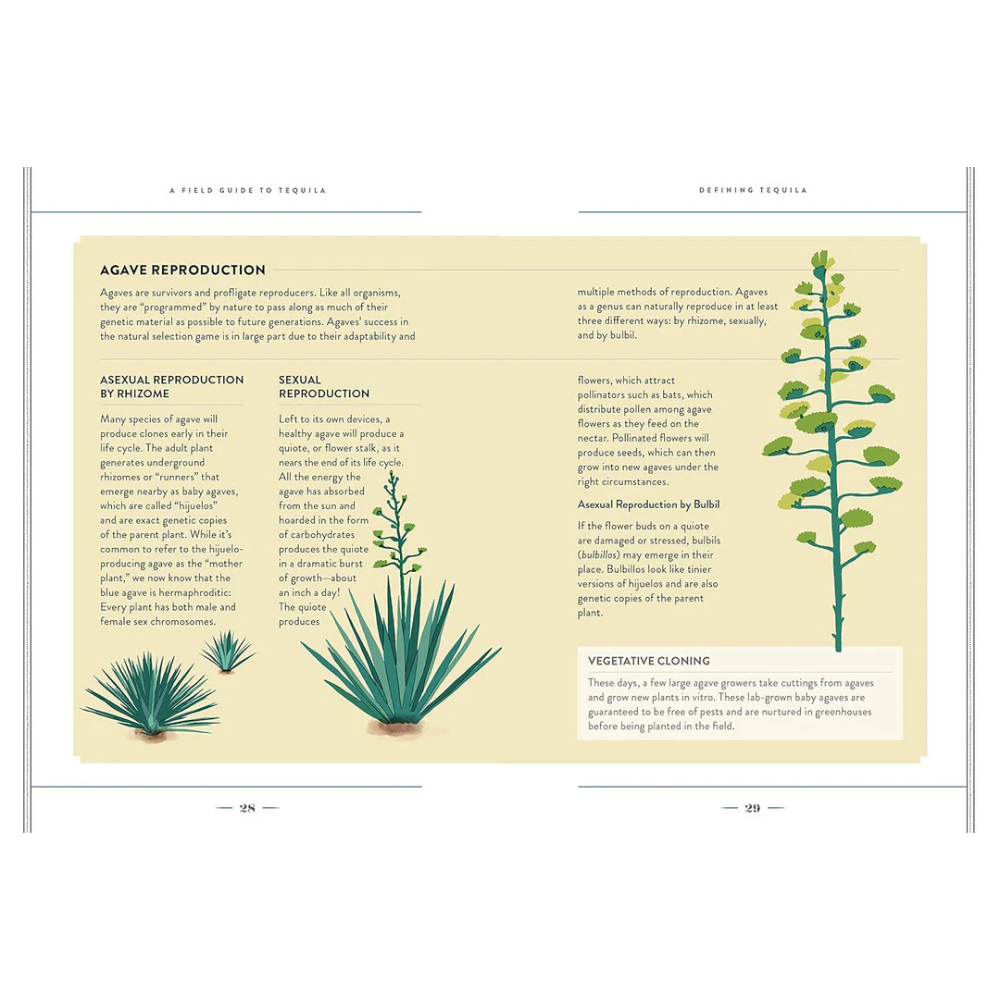 A Field Guide to Tequila