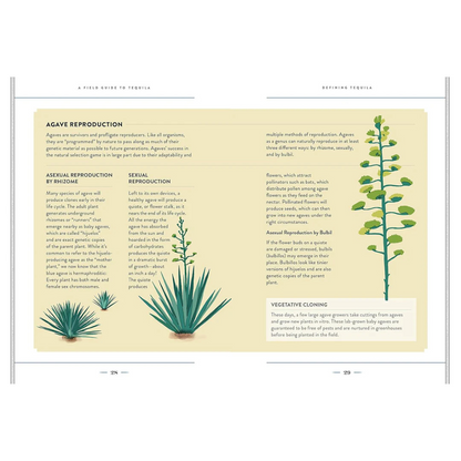 A Field Guide to Tequila